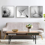 60cmx60cm Botanical dandelions 3 Sets Black Frame Canvas Wall Art - Home & Garden > Wall Art