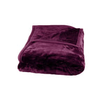 675gsm 2 Ply Solid Faux Mink Blanket Queen 200x240 cm Plum - Home & Garden > Bedding