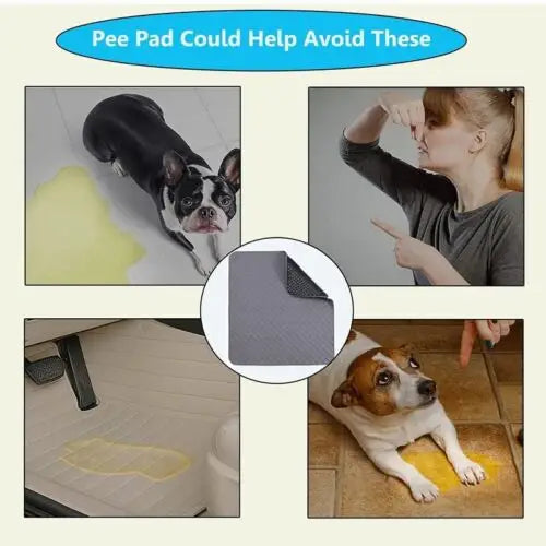 70X50cm Washable Pet Dog Pee Pad Reusable Cat Puppy Training Wee Absorbent Mat Pads Bed - Pet Care > Dog Supplies > Dog