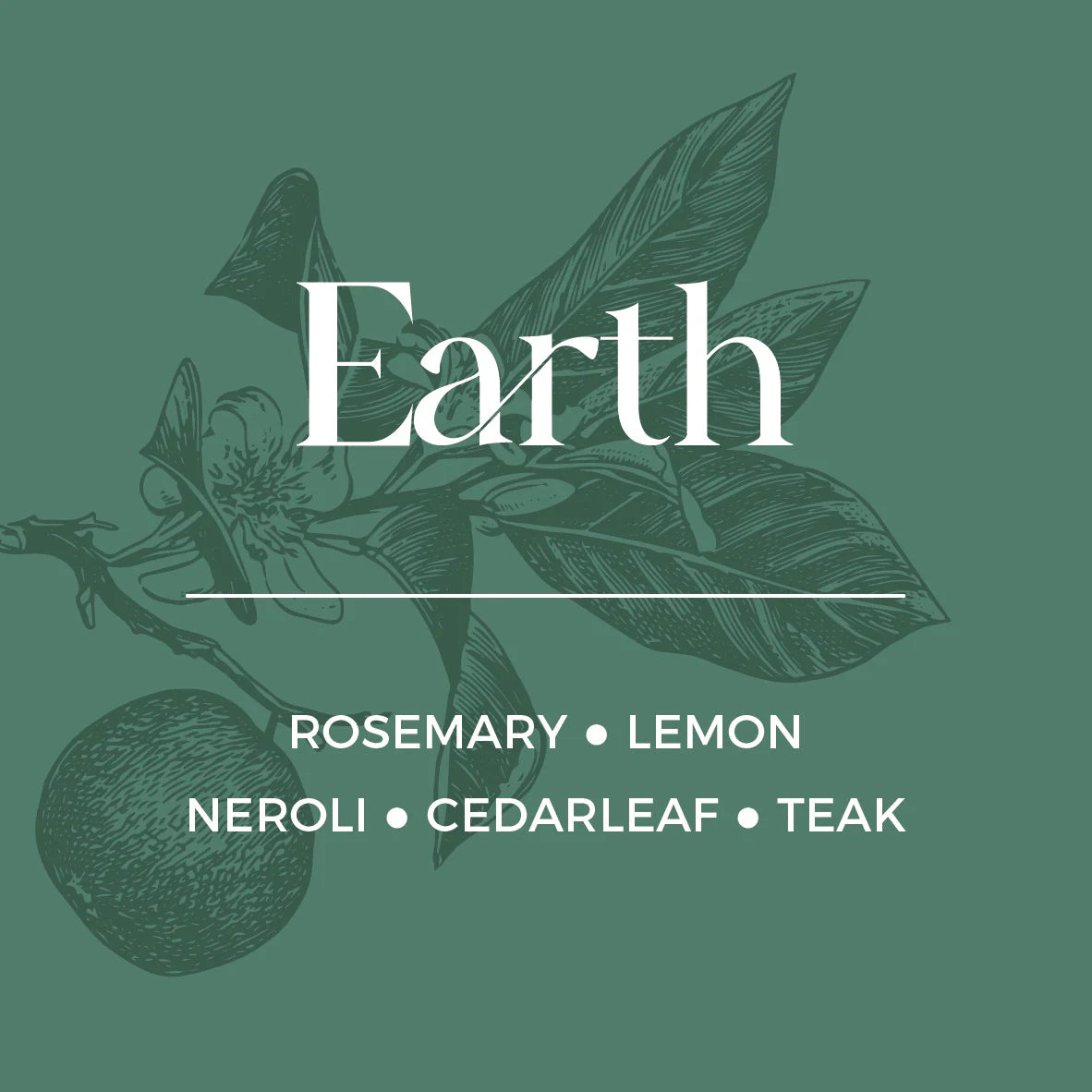 Illustration of botanical elements with the word 'Earth' and a list of scents on a green background.