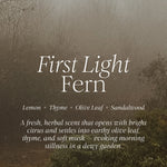 Text overlay on a misty forest background with 'First Light Fern' description.