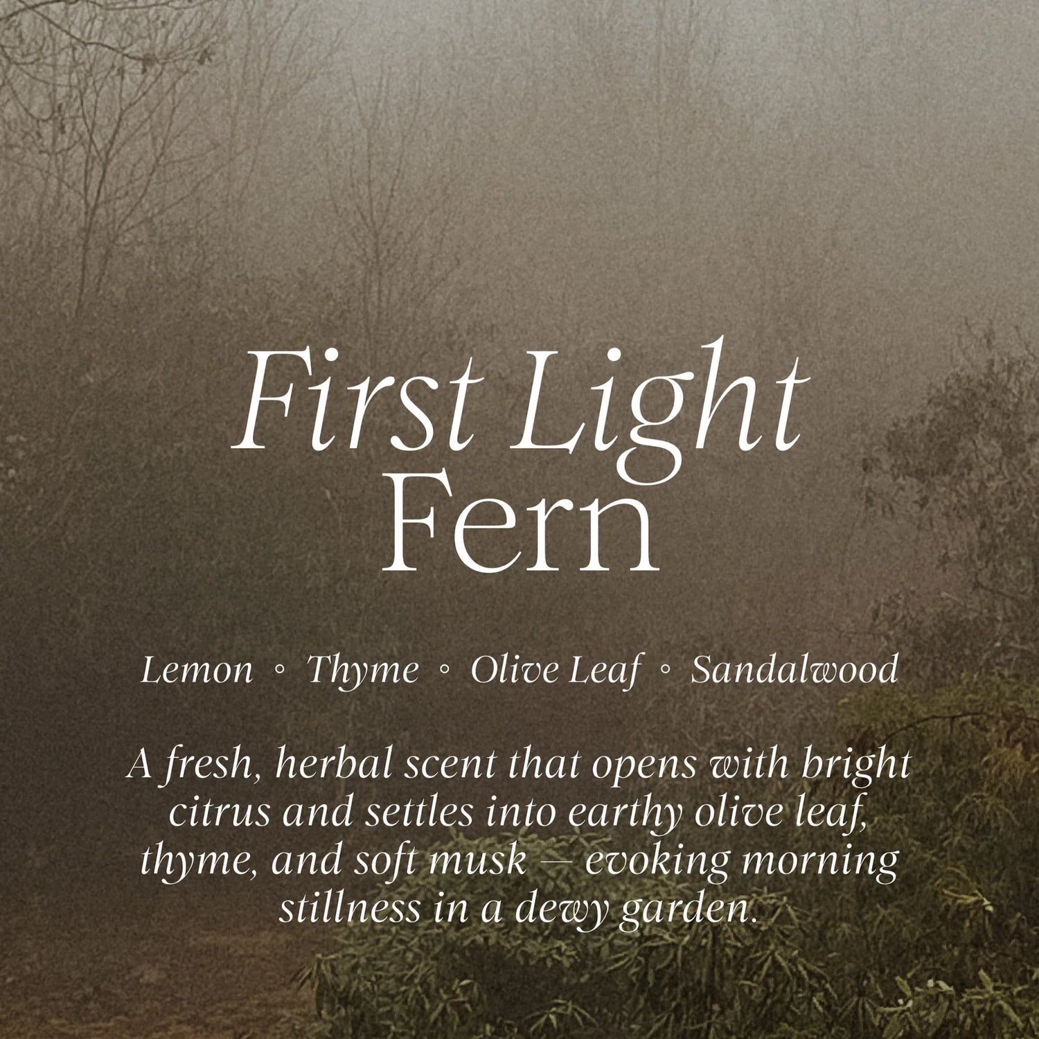 Text overlay on a misty forest background with 'First Light Fern' description.