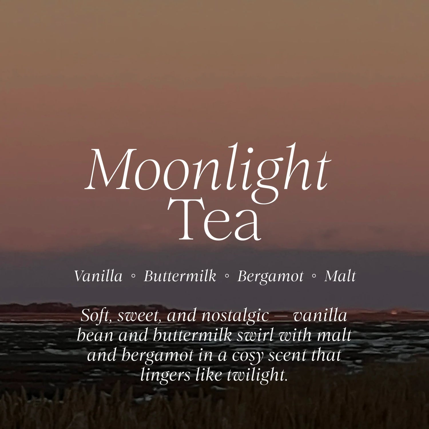 Promotional graphic for 'Moonlight Tea' with a scenic background.