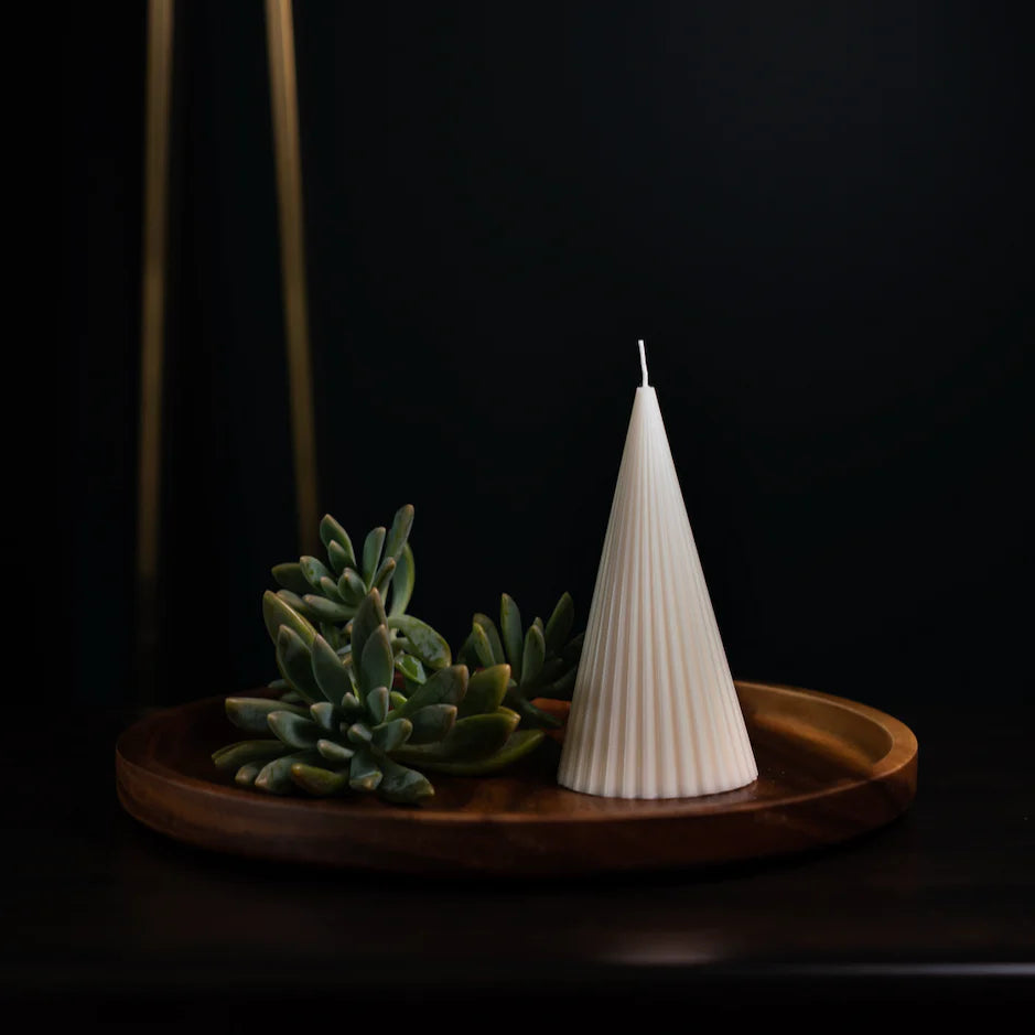 White cone-shaped candle on a wooden tray with a green plant against a dark background