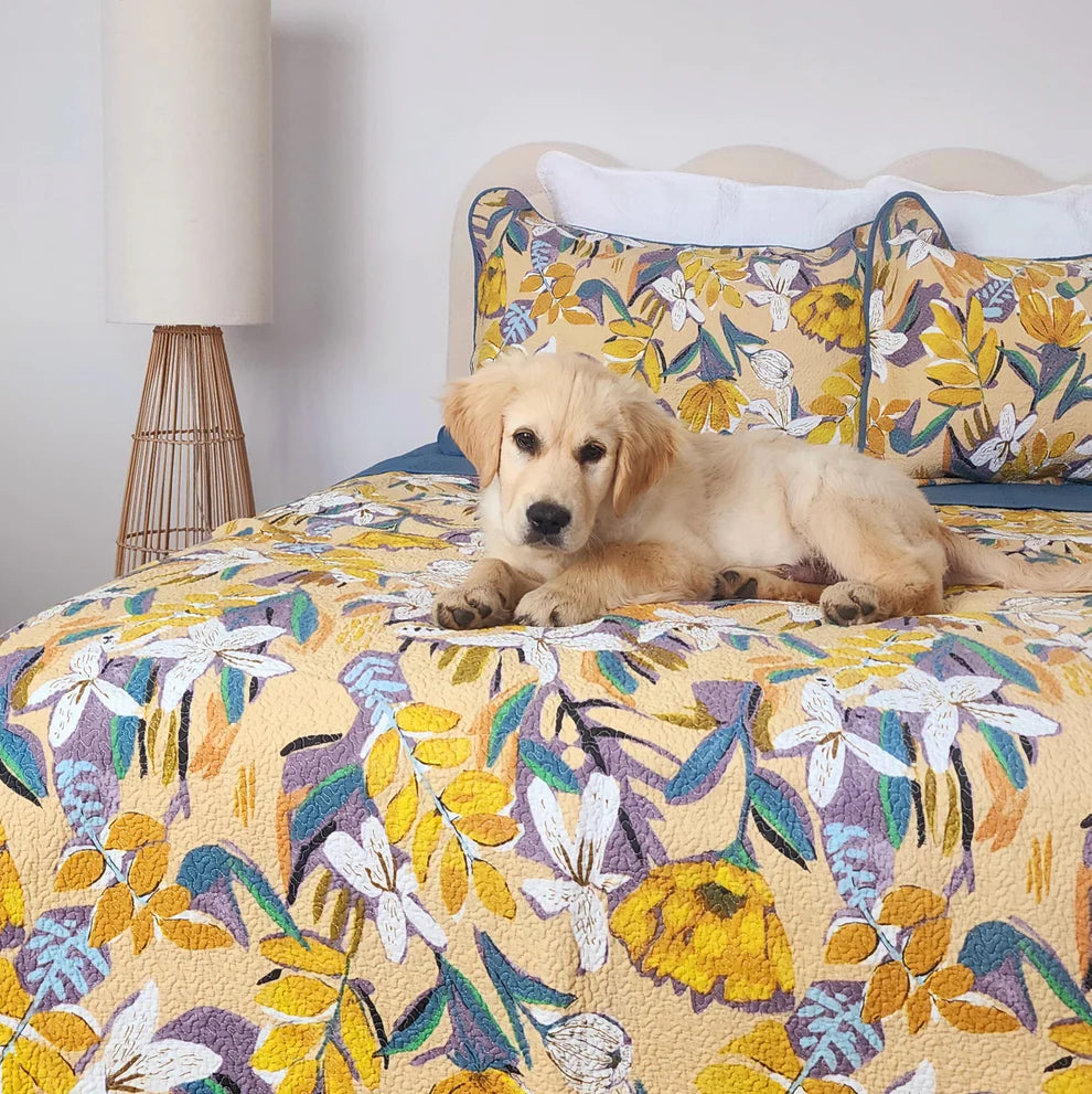 Puppy lying on a bed with a floral comforter in a bedroom setting