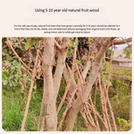 A Cat’s Dream Paradise: Natural Solid Wood Cat Climbing Frame - Pet Care > Cat Supplies > Cat Furniture
