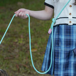 Adjustable Slip-On Dog Leashes - Lightweight and Comfortable Training Leads for Pets 3.35cm*8mm (Blue 2 pieces) - Pet
