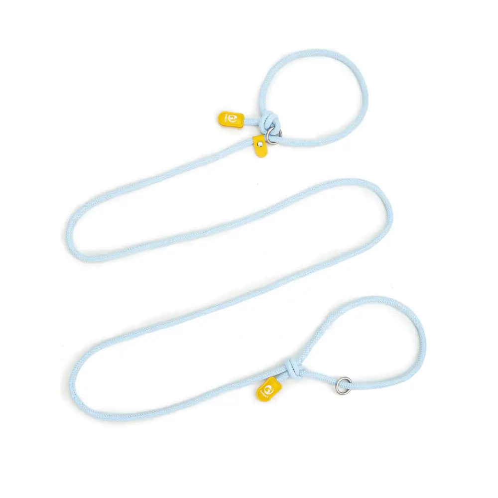 Adjustable Slip-On Dog Leashes - Lightweight and Comfortable Training Leads for Pets 3.35cm*8mm (Blue 2 pieces) - Pet