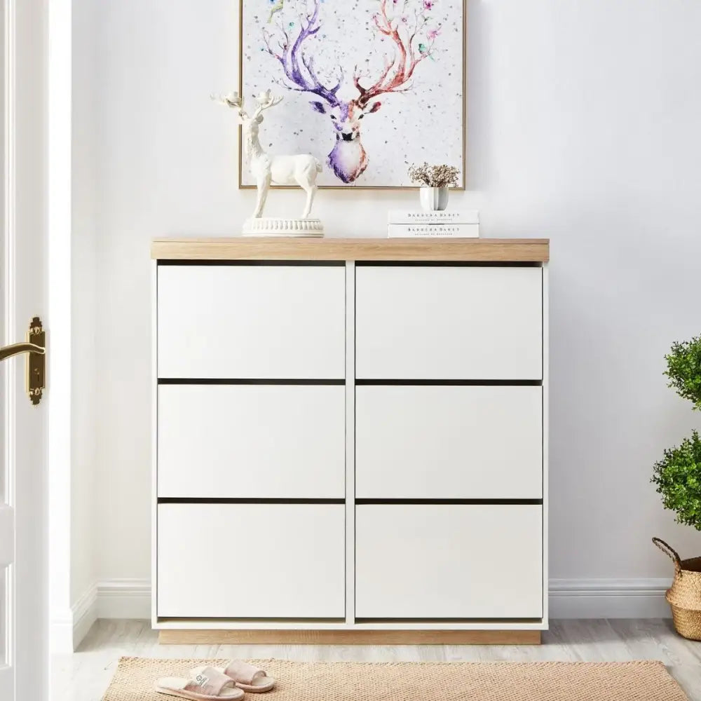 Aiden Coastal White Oak Large Shoe Cabinet - Furniture > Living Room > Shoe Storage
