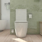 Alexander-R Rimless Toilet Suite - Furniture > Bathroom