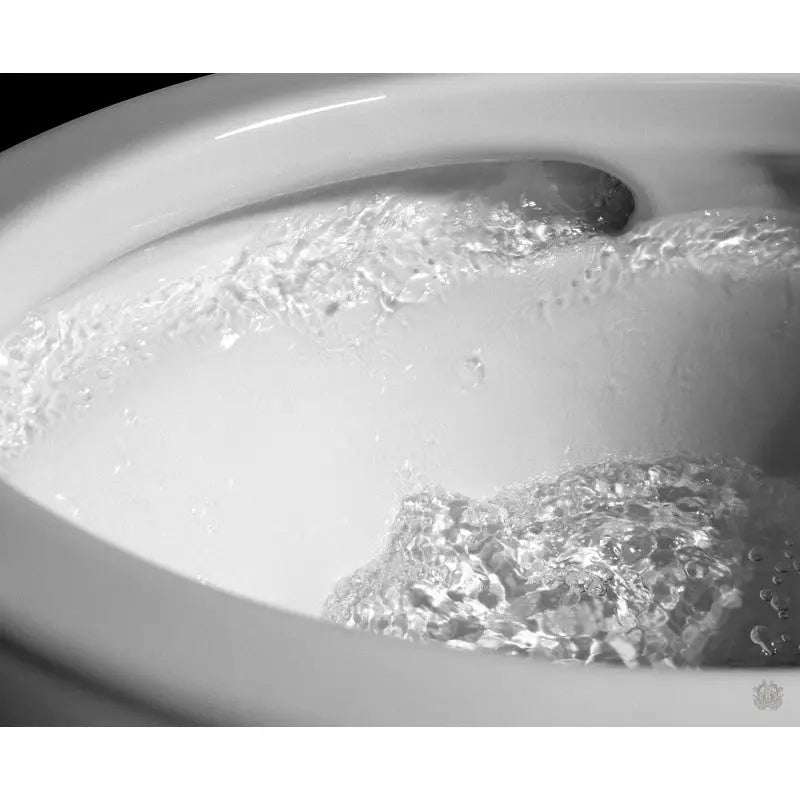 Alexander-R Rimless Toilet Suite - Furniture > Bathroom