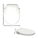 Amirra Non-electric Bidet Seat (Anti-Siphon) - Furniture > Bathroom > Bidets