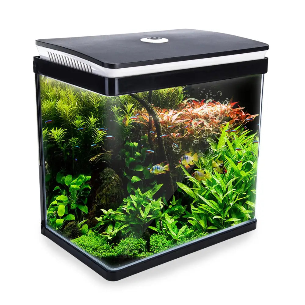 Aquarium Curved Glass RGB LED Fish Tank Set Filter Pump 30L - Pet Care > Aquarium > Aquariums