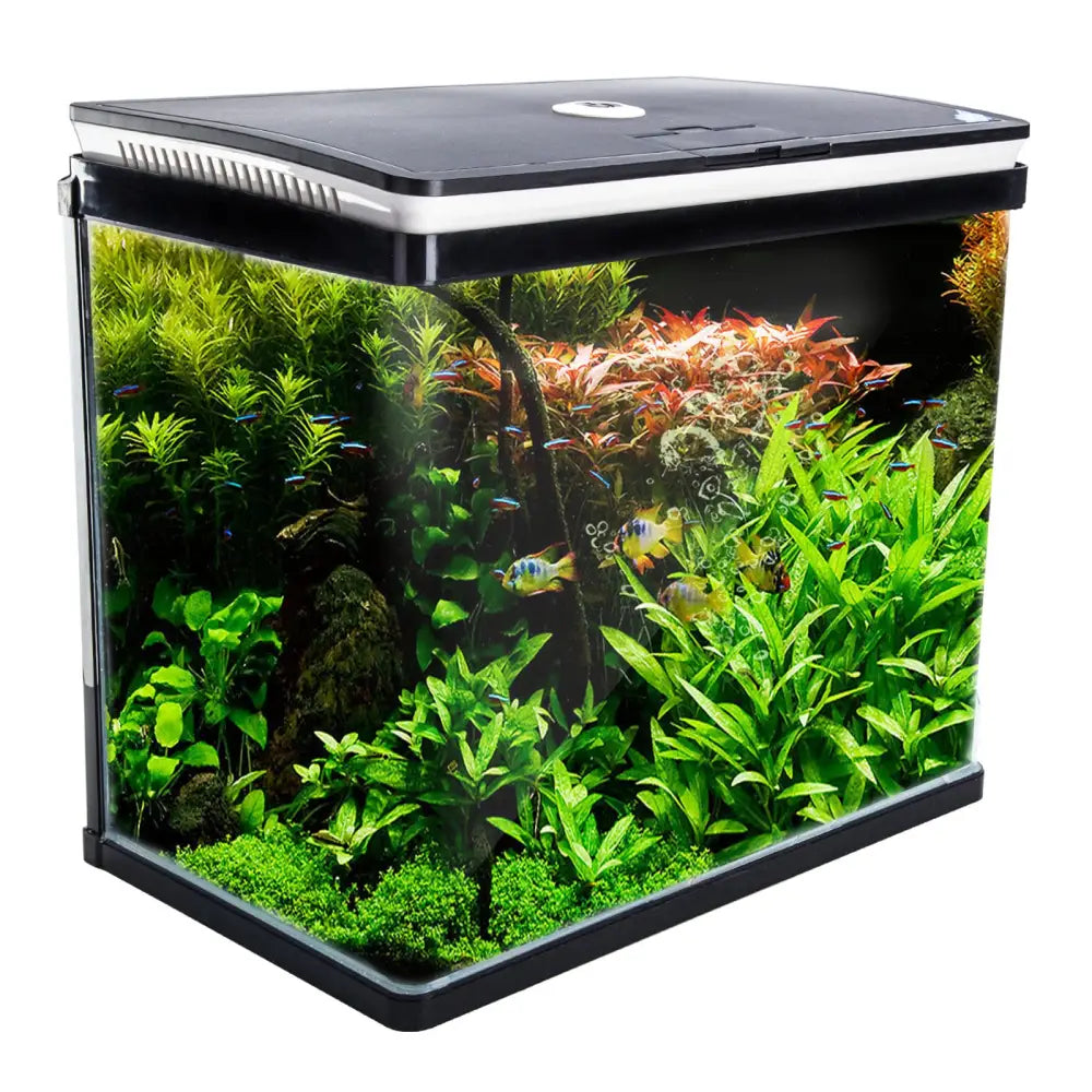 Aquarium Curved Glass RGB LED Fish Tank Set Filter Pump 52L - Pet Care > Aquarium > Aquariums