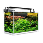 Aquarium Starfire Glass Fish Tank Set Filter Pump 39L - Pet Care > Aquarium > Aquariums