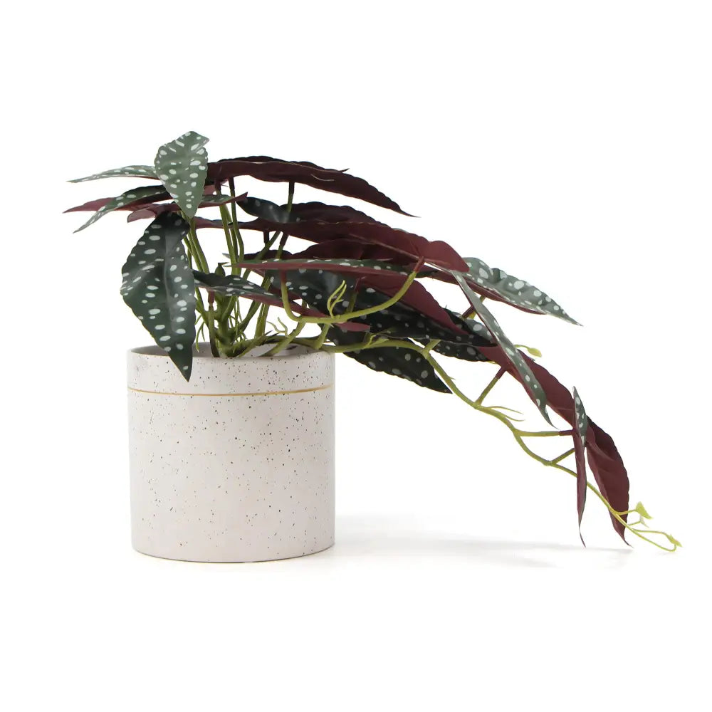 Artificial Bergonia Plant In Decorative Bowl 30cm - Home & Garden > Artificial Plants
