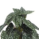 Artificial Bergonia Plant In Decorative Bowl 30cm - Home & Garden > Artificial Plants