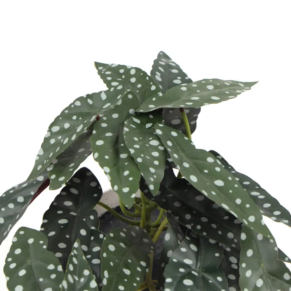 Artificial Bergonia Plant In Decorative Bowl 30cm - Home & Garden > Artificial Plants