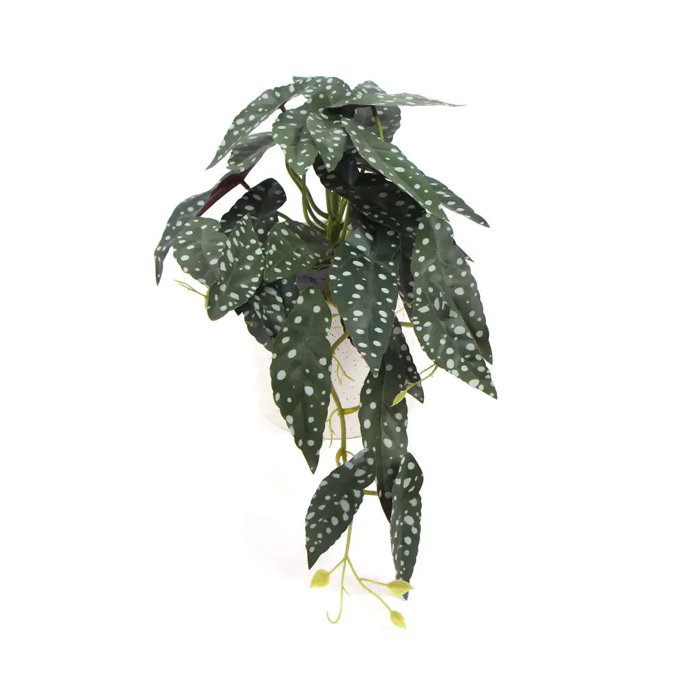 Artificial Bergonia Plant In Decorative Bowl 30cm - Home & Garden > Artificial Plants