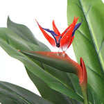 Artificial Bird Of Paradise Plant 150cm (Red Flowers) - Home & Garden > Home & Garden Others