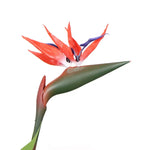 Artificial Bird Of Paradise Plant 150cm (Red Flowers) - Home & Garden > Home & Garden Others