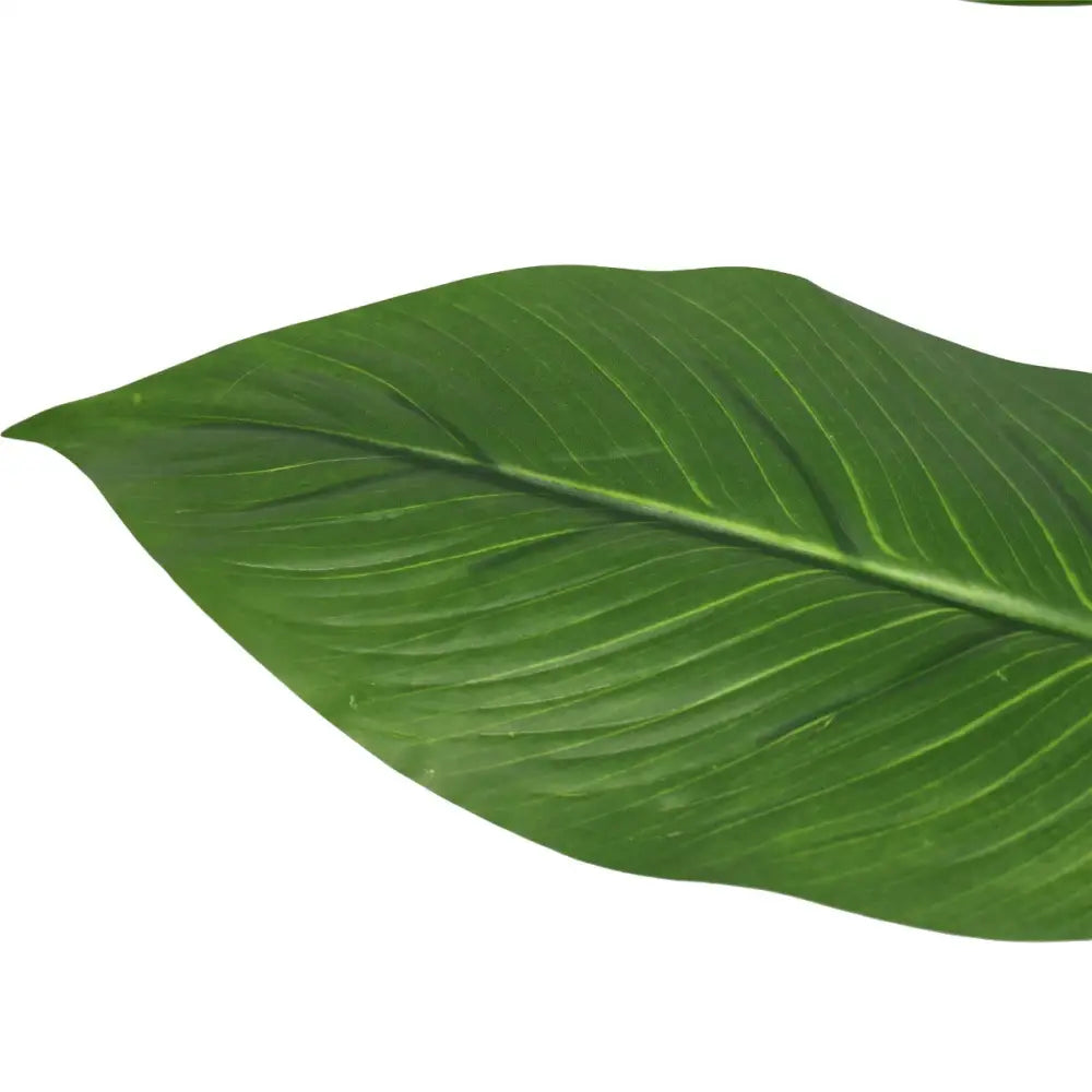 Artificial Flowering White Peace Lily / Calla Lily 95cm - Home & Garden > Artificial Plants