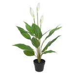 Artificial Flowering White Peace Lily / Calla Lily 95cm - Home & Garden > Artificial Plants