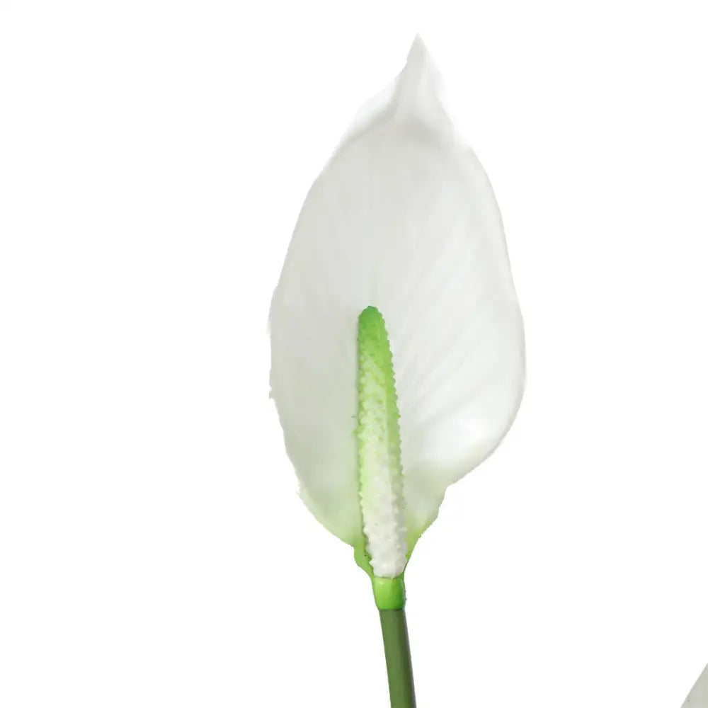 Artificial Flowering White Peace Lily / Calla Lily 95cm - Home & Garden > Artificial Plants