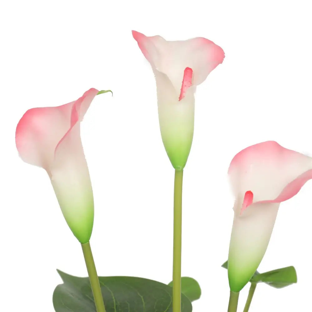 Artificial Flowering White & Pink Peace Lily / Calla Lily Plant 50cm - Home & Garden > Artificial Plants