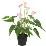 Artificial Flowering White & Pink Peace Lily / Calla Lily Plant 50cm - Home & Garden > Artificial Plants