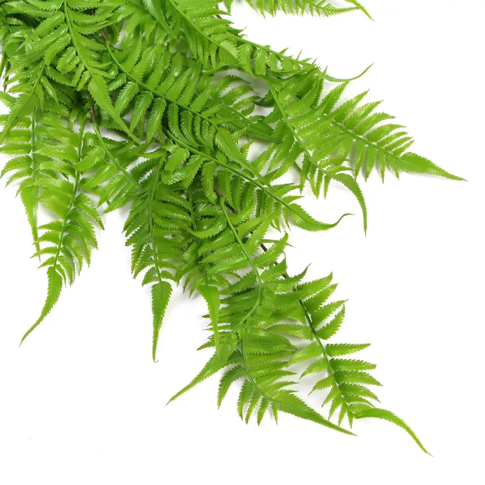 Artificial Hanging English Fern (Two-Tone) Foliage UV Resistant 80cm - Home & Garden > Home & Garden Others