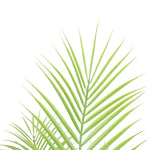 Artificial Modern Bushy Areca Fern Tree 120cm - Home & Garden > Artificial Plants