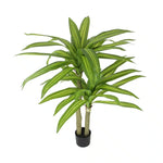 Artificial Multi Head Dracaena Tree With Mixed Green Leaves (Real Touch) 130cm - Home & Garden > Artificial Plants >