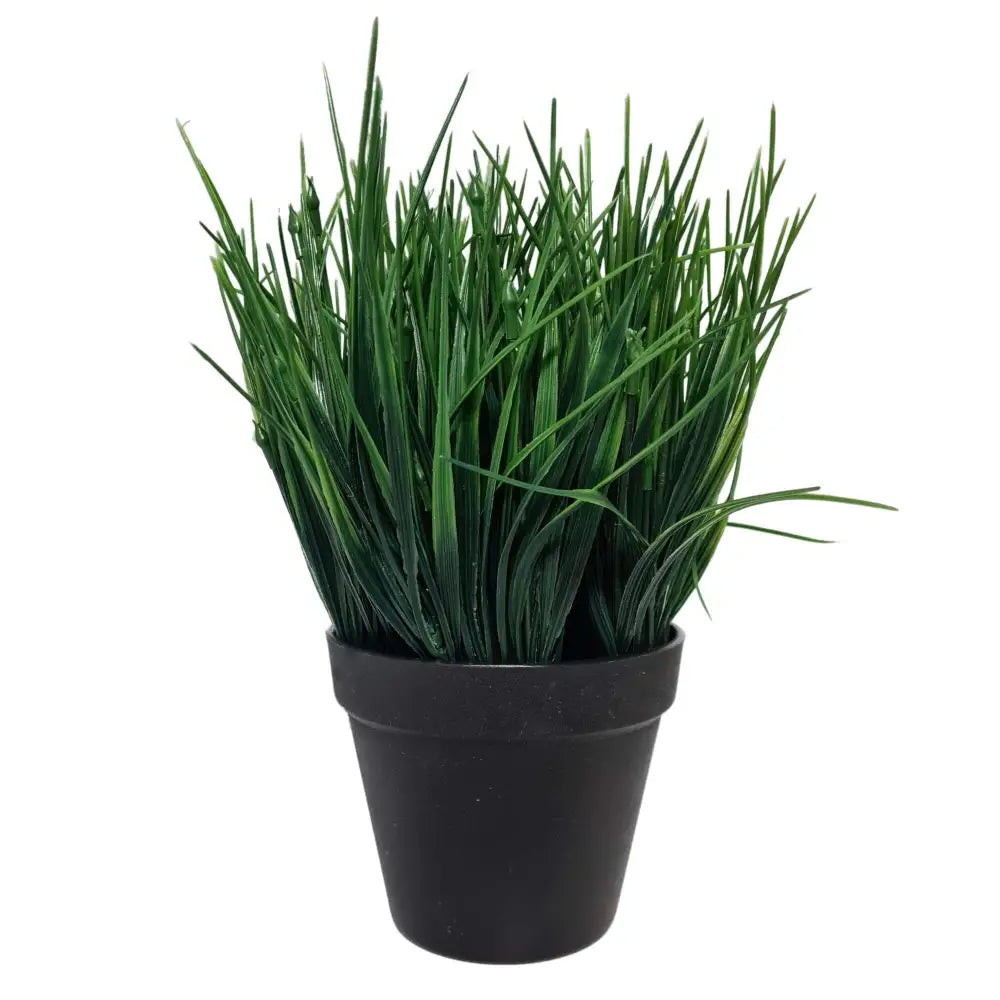 Artificial Ornamental Potted Dense Green Grass UV Resistant 30cm (Overstock Clearance) - Home & Garden > Artificial