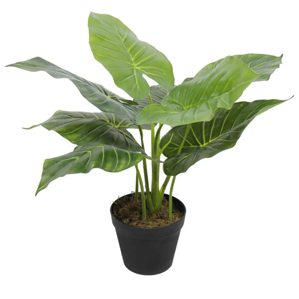Artificial Potted Taro Plant / Elephant Ear 55cm - Home & Garden > Artificial Plants