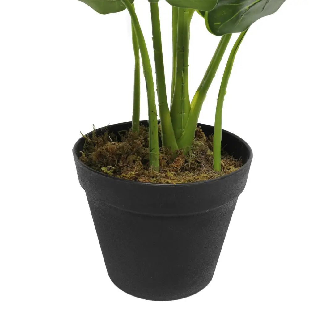 Artificial Potted Taro Plant / Elephant Ear 55cm - Home & Garden > Artificial Plants