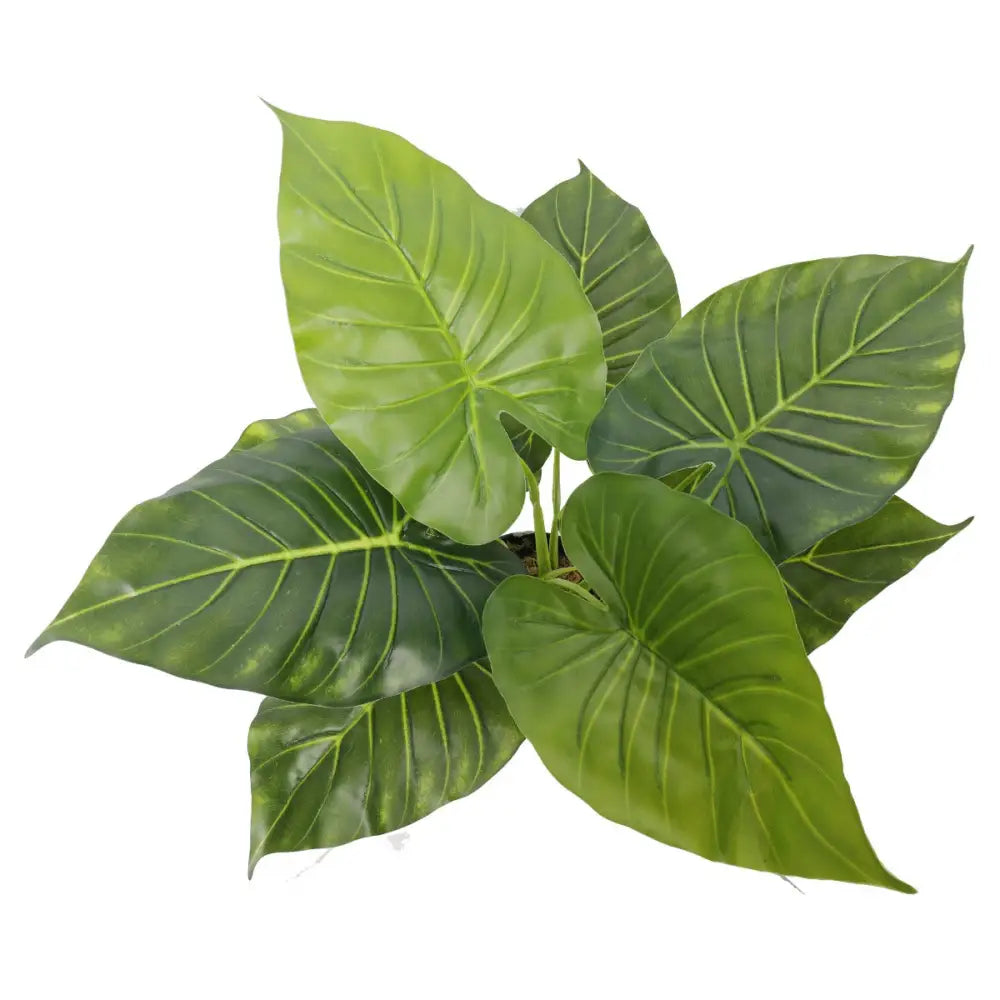 Artificial Potted Taro Plant / Elephant Ear 55cm - Home & Garden > Artificial Plants
