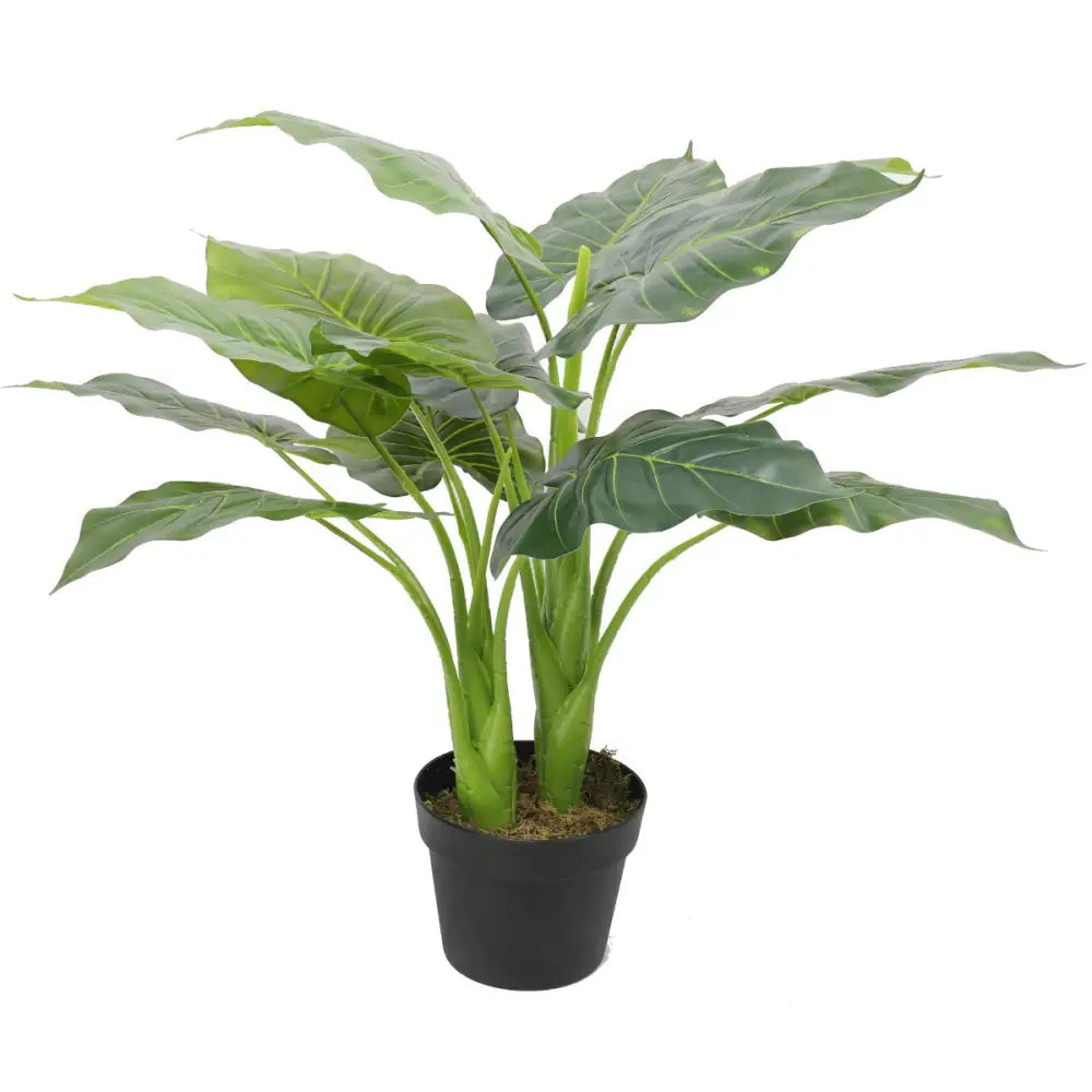 Artificial Potted Taro Plant / Elephant Ear 70cm - Home & Garden > Artificial Plants