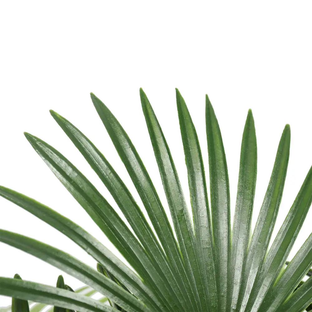 Artificial Wide Leaf Fan Palm Tree 90cm - Home & Garden > Artificial Plants