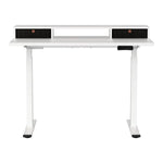 Artiss Electric Standing Desk Dual Motor Office Table With Shelf Drawer120CM - Furniture > Office > Office & Desk Chairs