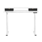Artiss Electric Standing Desk Sit Stand Desks 120CM - Furniture > Office > Desks