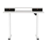 Artiss Electric Standing Desk with Storage Shelf Drawer Office Table 120CM - Furniture > Office > Office & Desk Chairs