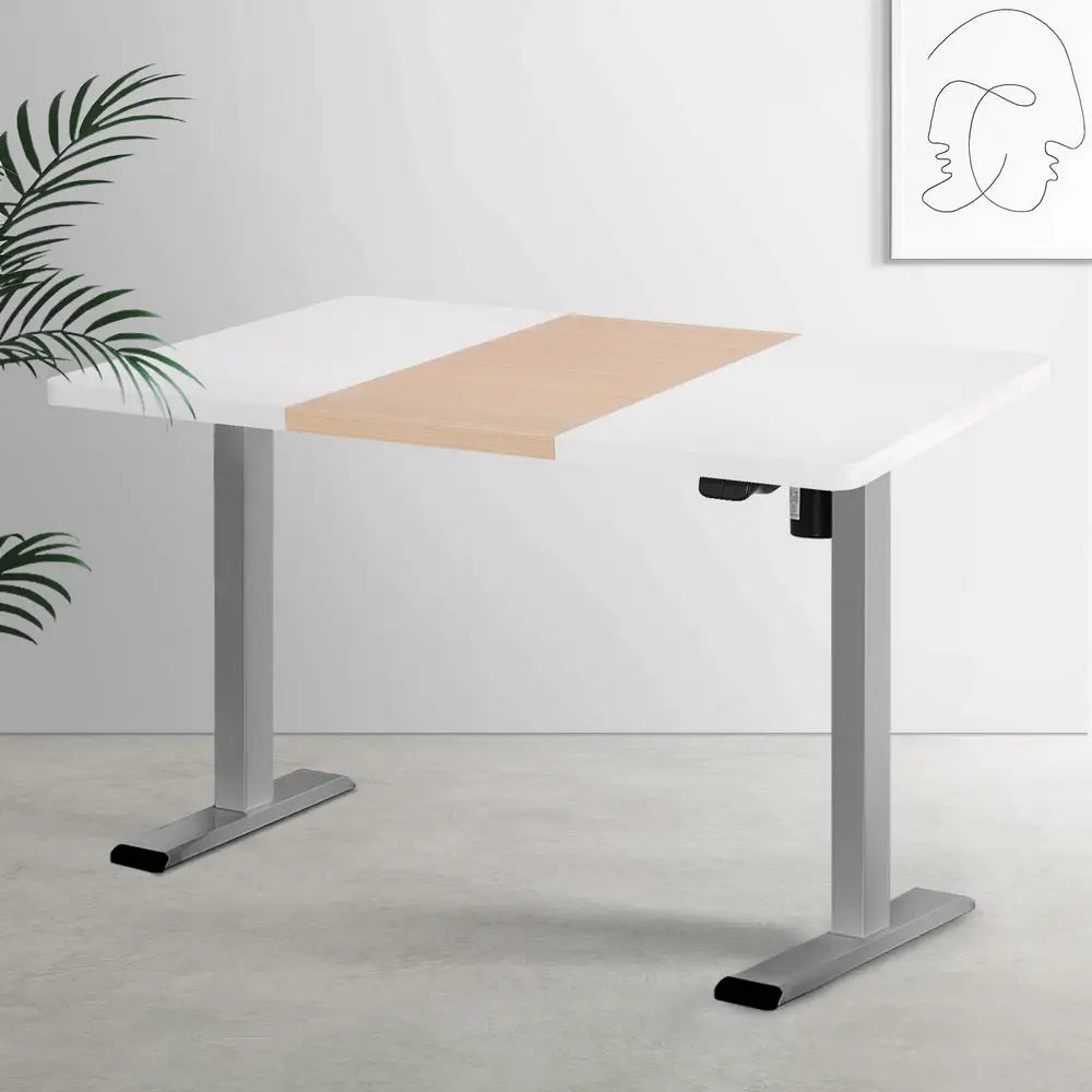 Artiss Standing Desk Electric Sit Stand Desks 120CM - Furniture > Office > Desks