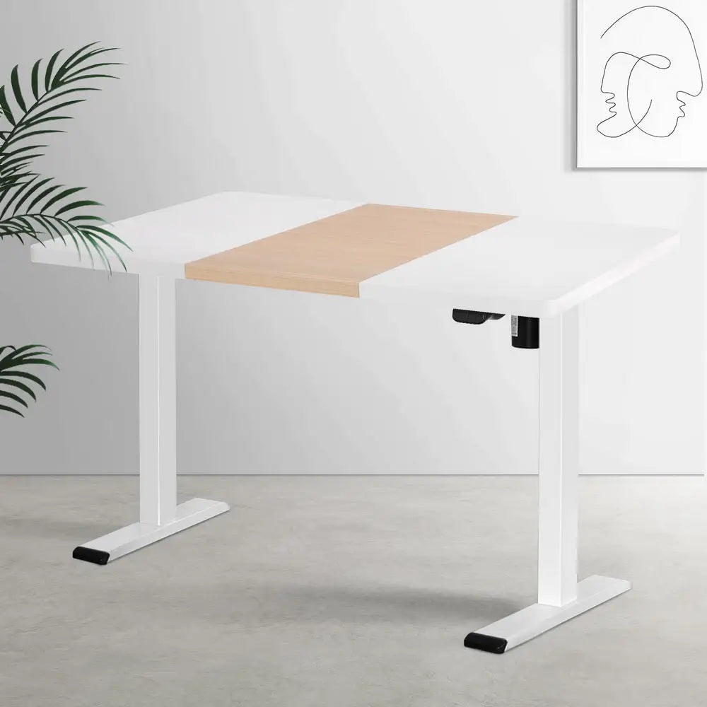 Artiss Standing Desk Motorised Sit Stand Desks 120CM - Furniture > Office > Desks