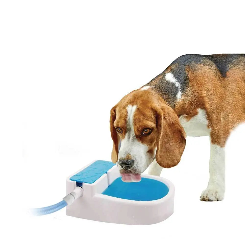Auto Filling Dog Drinking Water Fountain - Outdoor Automatic Pet Drinking Bowl - Pet Care > Dog Supplies > Dog Bowls