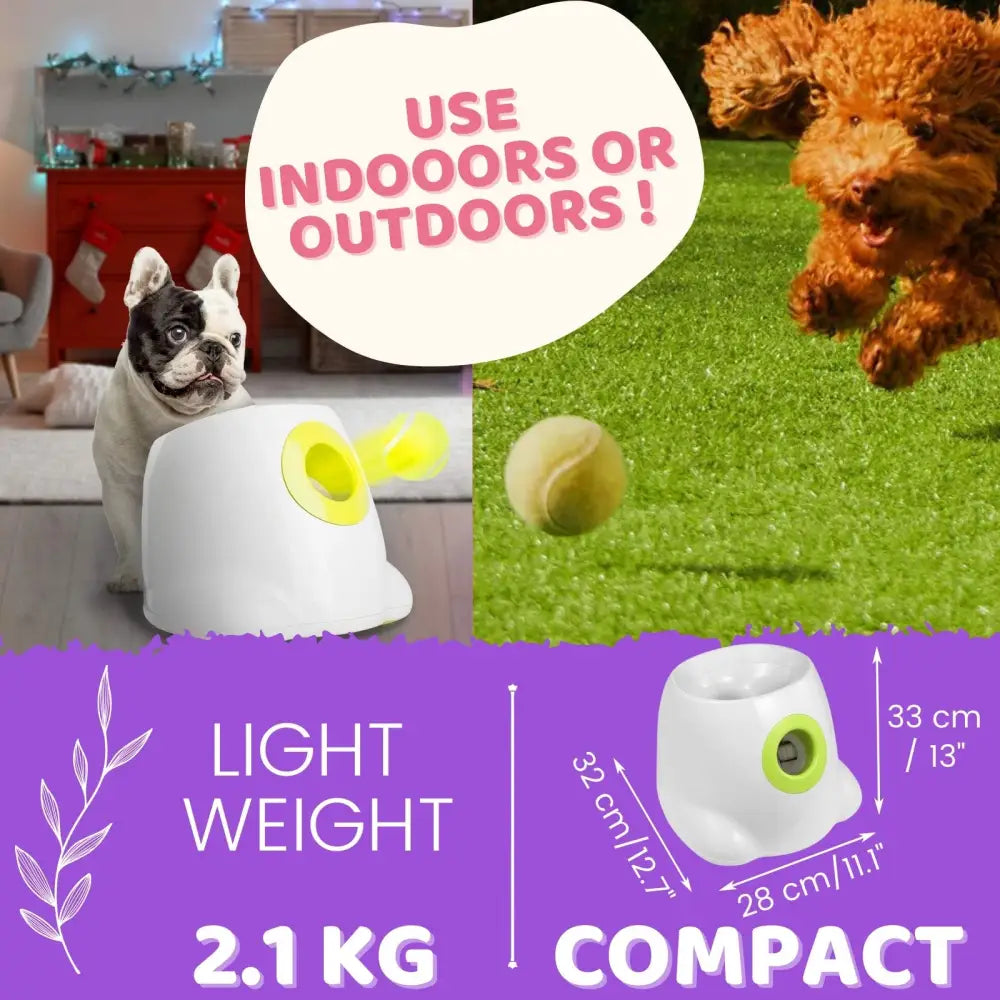 Automatic Ball Launcher Throwing Machine Dog Toys Interactive Tennis Pet 6Balls - Pet Care > Toys > Dog Toys