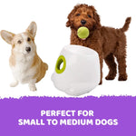 Automatic Ball Launcher Throwing Machine Dog Toys Interactive Tennis Pet 6Balls - Pet Care > Toys > Dog Toys