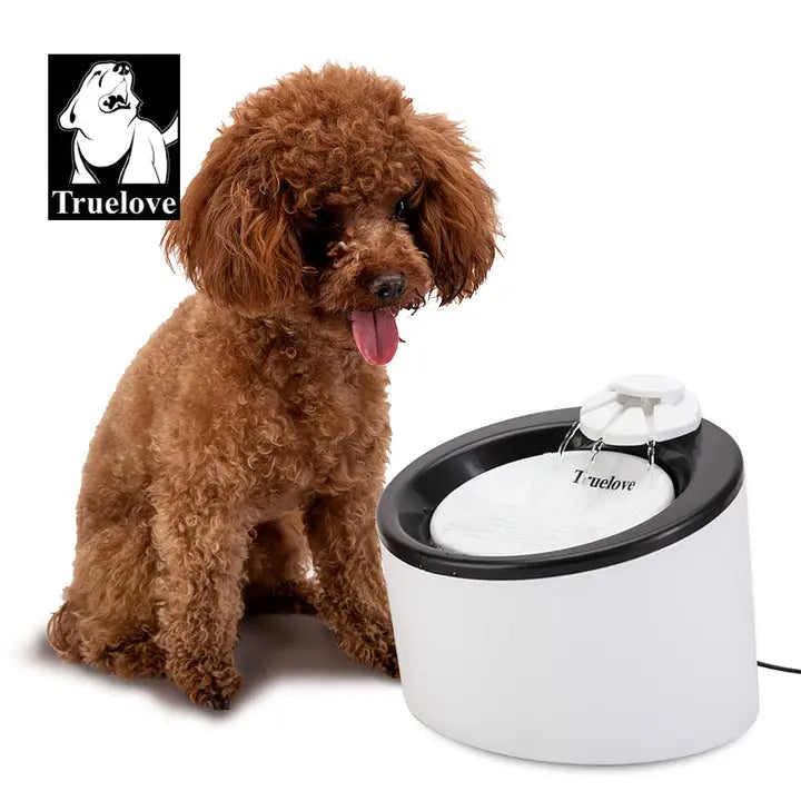 Automatic Water Dispenser WD T1 - Appliances > Kitchen Appliances > Water Dispensers