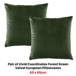 Bianca Pair of Vivid Coordinates Forest Green Velvet European Pillowcases - Home & Garden > Bedding
