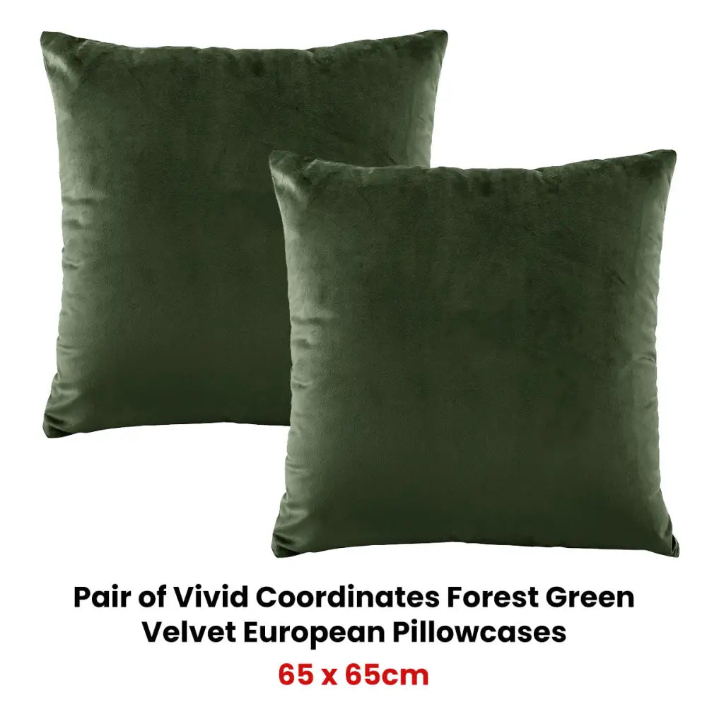Bianca Pair of Vivid Coordinates Forest Green Velvet European Pillowcases - Home & Garden > Bedding